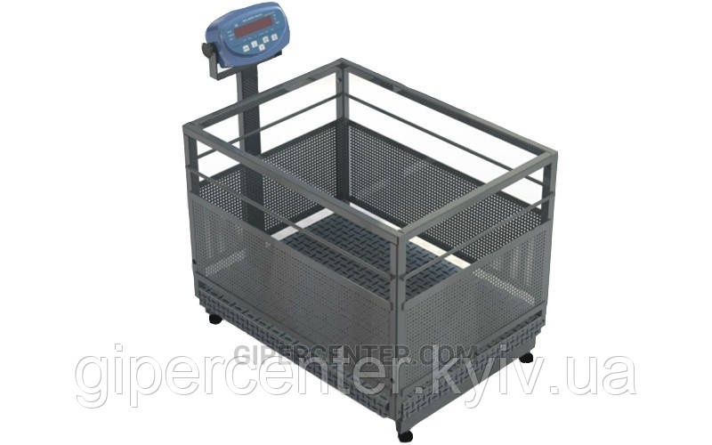 Ваги для поросят BDU60C-0608X бюджет (до 60 кг)