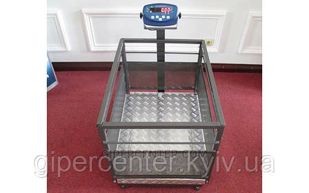 Ваги для поросят BDU60C-0608X бюджет (до 60 кг), фото 2