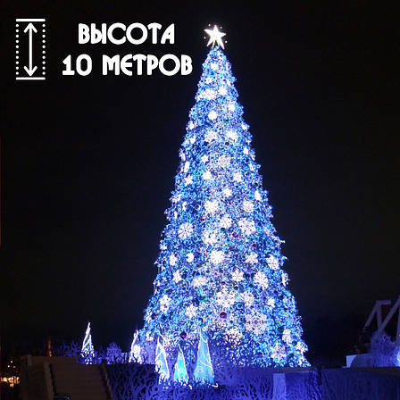 Сосна каркасна класична 10 м, фото 2