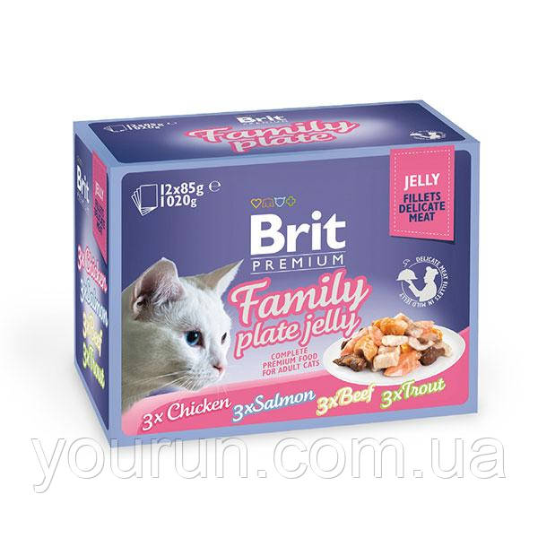 Вологий корм Brit Premium Набір паучів для котів сім'ї Plate Jelly кусочки в желі 12×85 гру