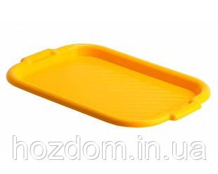 Піднос великий харчової