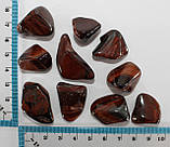 Бічне око, фото 2