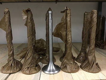 Клапан всмоктувальний/бавовнісний Д27.16.00.06