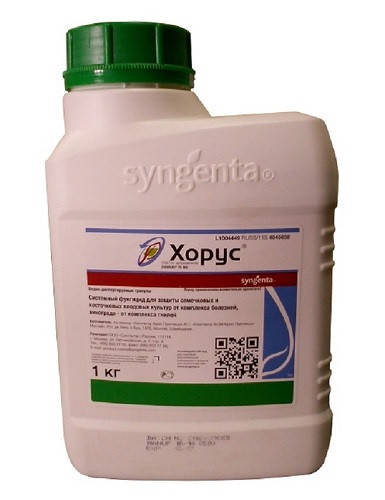 Купить Хорус 1 кг фунгицид, Syngenta, цена 4932 ₴ — Prom.ua (ID#543360793)