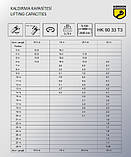 Телескопічний гідравлічний автокран Hidrokon (Гидрокон) HK 90 33 T3, фото 7