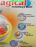 Магічна куля-головоломка (шар-лабіринт) Magical Intellect Ball, фото 5