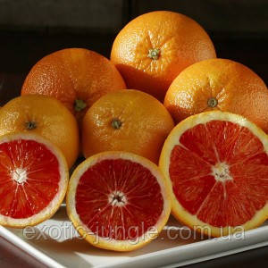 Апельсин Кара-Кара (C. sinensis Cara Cara navel orange) 20-25 см. Кімнатний