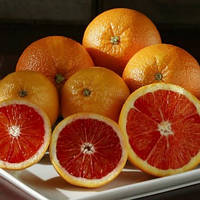 Апельсин Кара-Кара (C. sinensis Cara Cara navel orange) до 20 см. Кімнатний