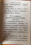 Псалтир (кишеньковий, цивільний шрифт), фото 11