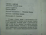 Шелег М. Споем, жиган... Антологія блатної пісні (б/у)., фото 6