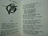 Шелег М. Споем, жиган... Антологія блатної пісні (б/у)., фото 7