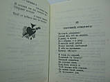 Шелег М. Споем, жиган... Антологія блатної пісні (б/у)., фото 8