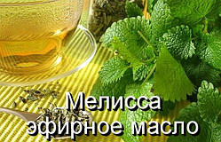 Меліса-ефірна олія (натуральна) (Іспанія) — 10 мл