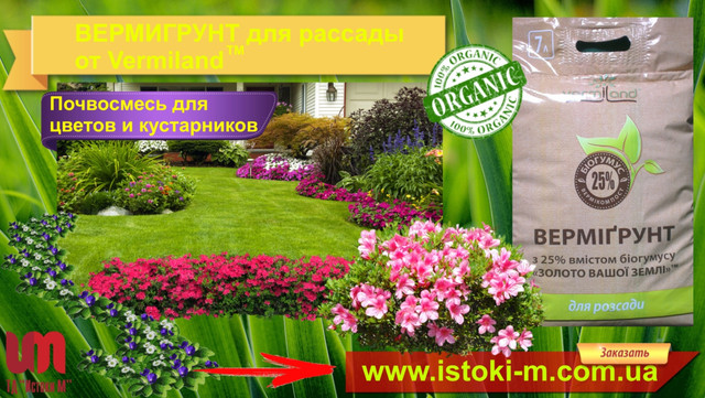 почвосмесь_грунт_вермигрунт для квітів і чагарників грунт для рассады_почвосмесь для рассады_грунт для рассады овощей купить_грунт для рассады томатов_грунт для рассады купить оптом от производителя_грунт для рассады огурцов_грунт для рассады перца_грунт для рассады помидоров в домашних условиях_грунт для рассады купить_грутн для рассады цена_вермигрунт для рассады цена_вермигрунт для рассады купить_вермигрунт для рассады отзывы_вермигрунт для рассады 7л_вермигрунт золото вашей земли_почвосмесь для рассады_почвосмесь для рассады купить_почвосмесь для рассады томатов_почвосмесь для рассады перца_почвосмесь для рассады огурца_почвосмесь для рассады капусты_почвосмесь для рассады клубники_почвосмесь для рассады земляники_купить почвосмесь для рассады_вермигрунт_вермигрунт универсальный_вермигрунт купить_вермигрунт для рассады_вермигрунт золото вашей земли_вермигрунт отзывы_вермигрунт универсальный состав_органическое удобрение_органические удобрения купить_огранические удобрения_органическое удобрение 5 букв_виды органических удобрений_характеристика органических удобрений_применение органических удобрений_производство органических удобрений_органические удобрения их виды и характеристика_органические удобрения растений_органические удобрения для огорода_использование органических удобрений_органическое удобрение 5 букв сканворд_удобрения органические_органические удобрения отзывы_активное органическое удобрение_внесение органических удобрений в почву_органические удобрения для рассады_удобрения органические цена_купить удобрение_удобрение применение_удобрение опт_удобрение производитель_удобрение цена_грунт для зимнего сада_органический грунт для зимнего сада_органическое удобрение для зимнего сада_органическое удобрение для цветов и кустарников_органическое удобрение для пальм_органическое удобрение для кустов_органическое удобрение для домашних цветов_органическое удобрение для комнантных цветов