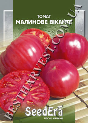 Насіння томату «Малинове Виканте» 3 г, фото 1