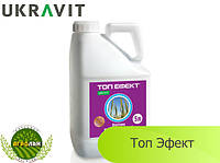 Фунгіцид Топ Єфект (Імппакт) Прикрашить