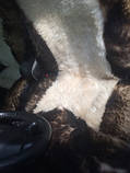 Авточохлол із натуральних овечих шкур, фото 7