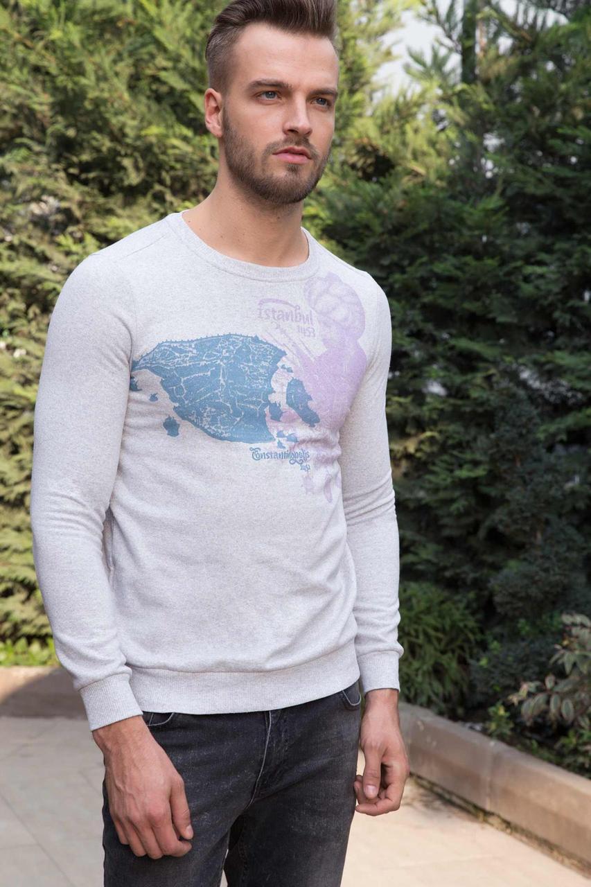 Сірий чоловічий світшот De Facto з малюнком на грудях