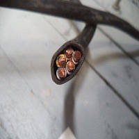 Кабель ВВГнг-ls 5х6 одескабель