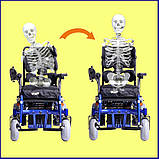 Ортез для корекції і підтримки спини TARTA Ergonomic Back System for Wheelchair, фото 4