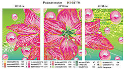 Схеми для вишивки бісером Лілія