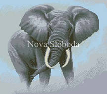 Малюнок на канві для вишивки нитками муліне ММ-2006 Слон