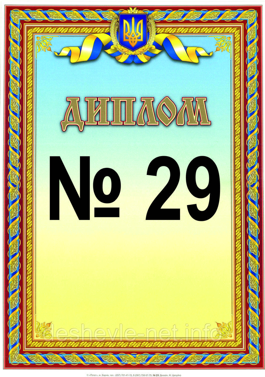 Диплом №29