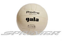 Мяч волейбольный GALA шитый. 05009