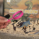 Набір для розкопок динозавра (іграшка), фото 2