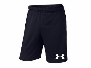 Чоловічі шорти Under Armour