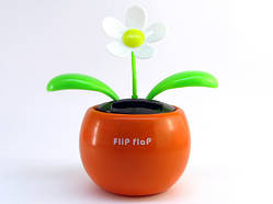 Сонячна квітка Flip Flap