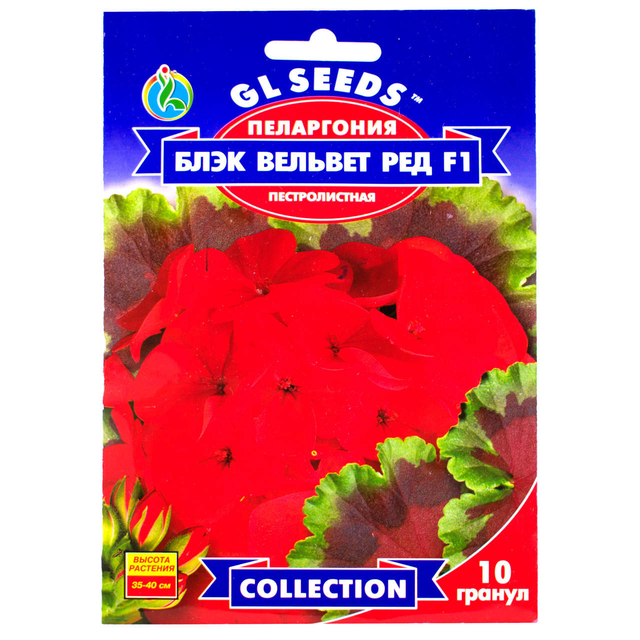 

Пеларгония Блэк Вельвет Ред F1 5 шт Gl Seeds, Красный