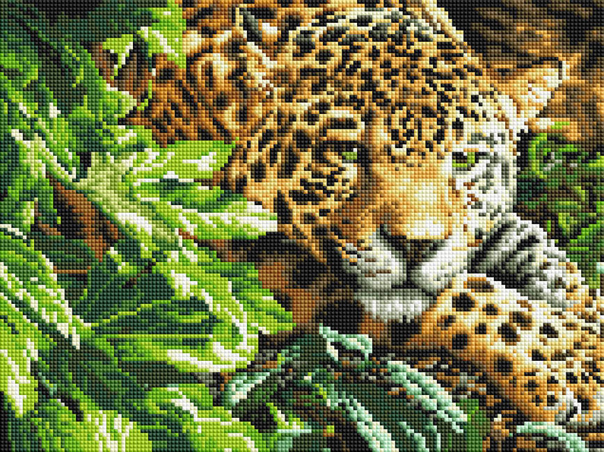 

Алмазная вышивка ColorArt 30х40см Ягуар ST436