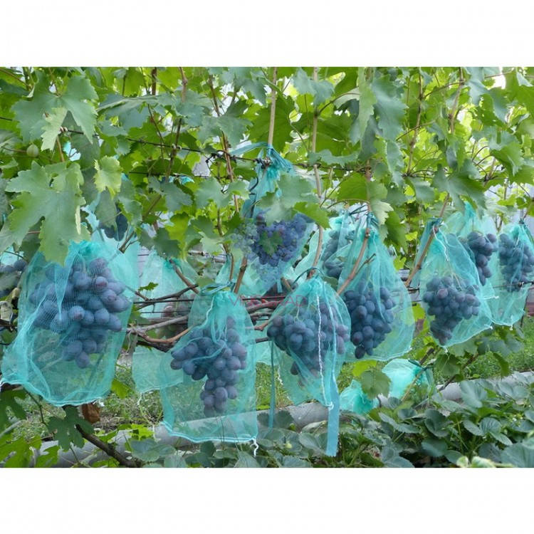 

Защитная сетка-мешок для гроздей винограда 5 кг 28*40 см, 50 шт, зеленая, Зелёный