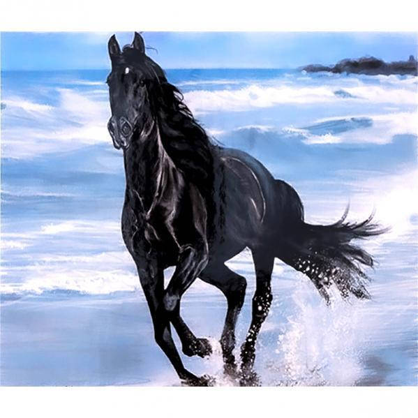 

Алмазная мозаика 40х50 см DIY Вороной конь (SL 73281)