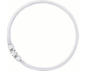 

Кольцевая лампа Osram FC 22W/840 (2Gx13 d=225mm)