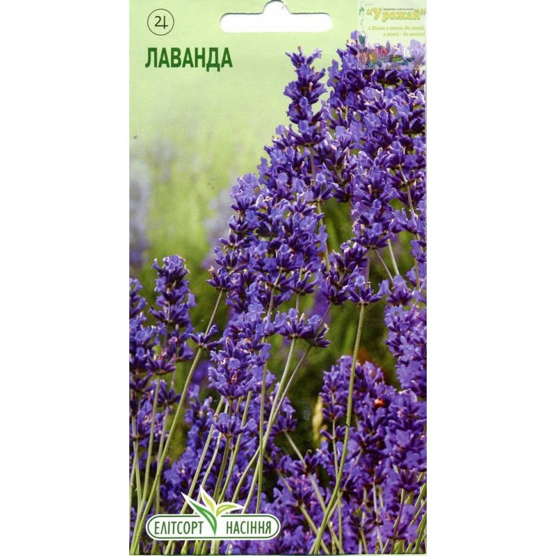 

Семена пряные Лаванда, 0,1 г