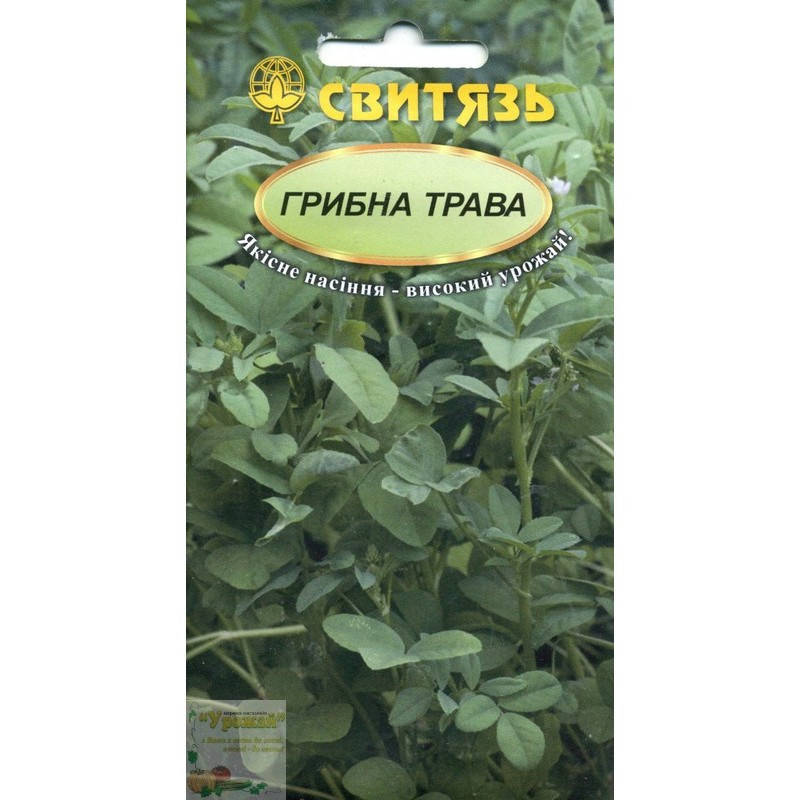 

Семена пряные Грибная трава, 2 г, Желтый
