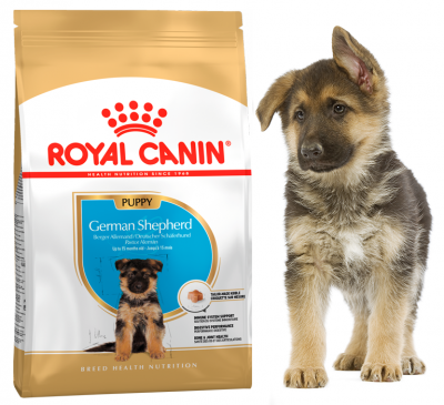 

Сухой корм Royal Canin German Shepherd Junior 12 кг для щенков Немецкой овчарки до 15 месяцев