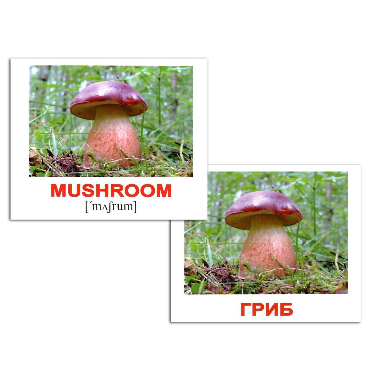 

Мини-карточки Домана "Природа/Nature" Вундеркинд с пеленок.