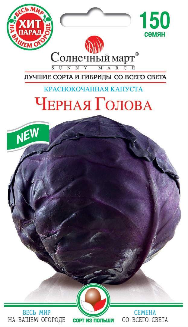 

Капуста Черная голова, 150шт.
