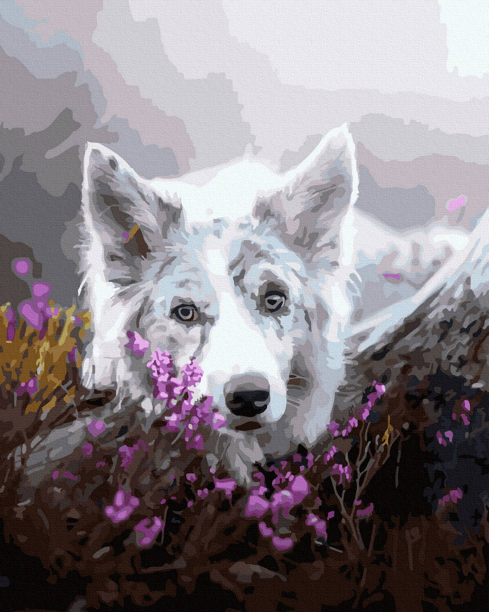 

Картина по номерах "Белая собачка на скалистом камне" GX43108