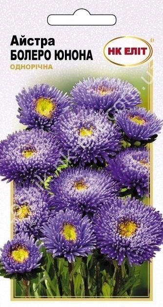 

Астра Болеро Юнона, Голубой