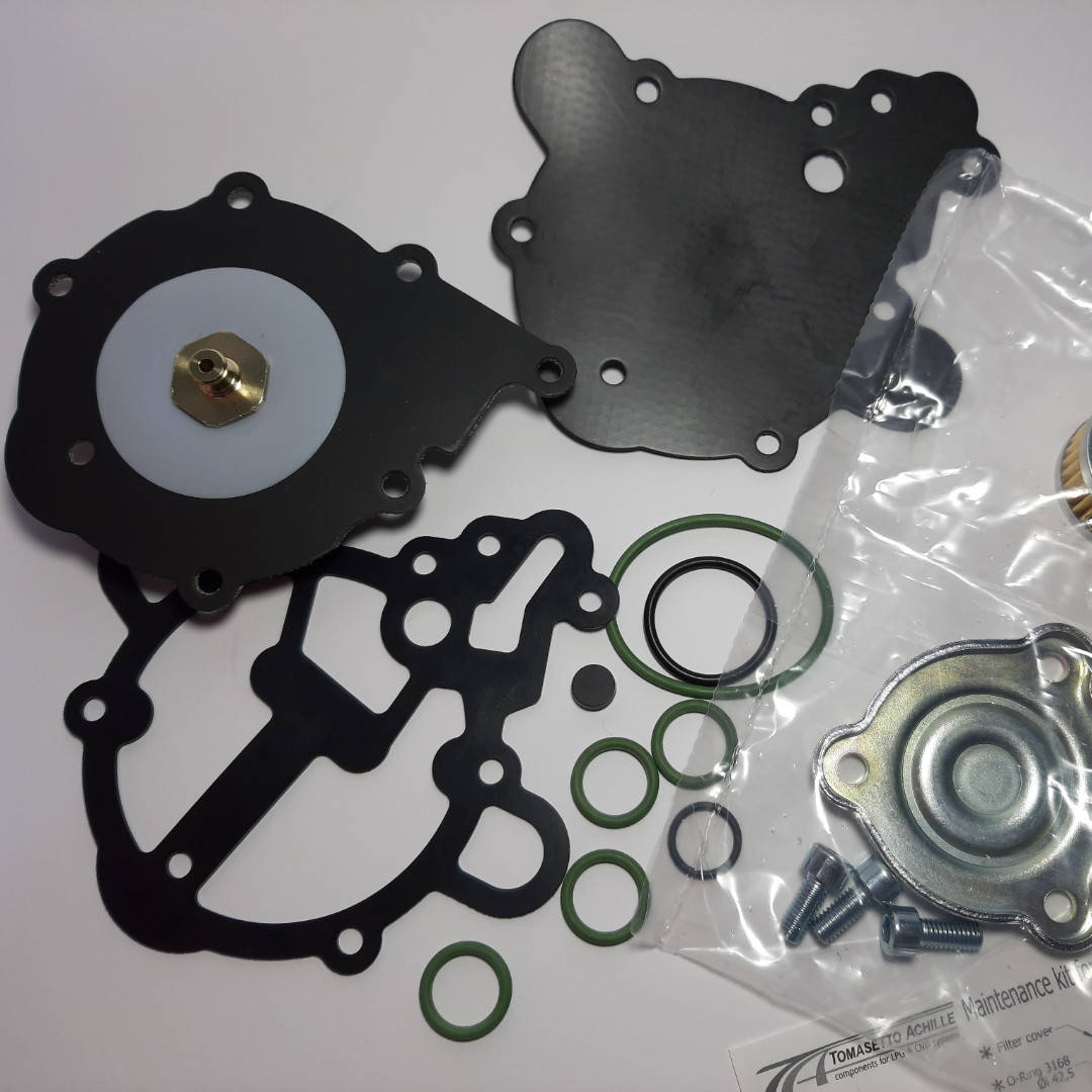 

Ремкомплект редуктора Томасетто Аляска ( Tomasetto AT 09 ) Alaska