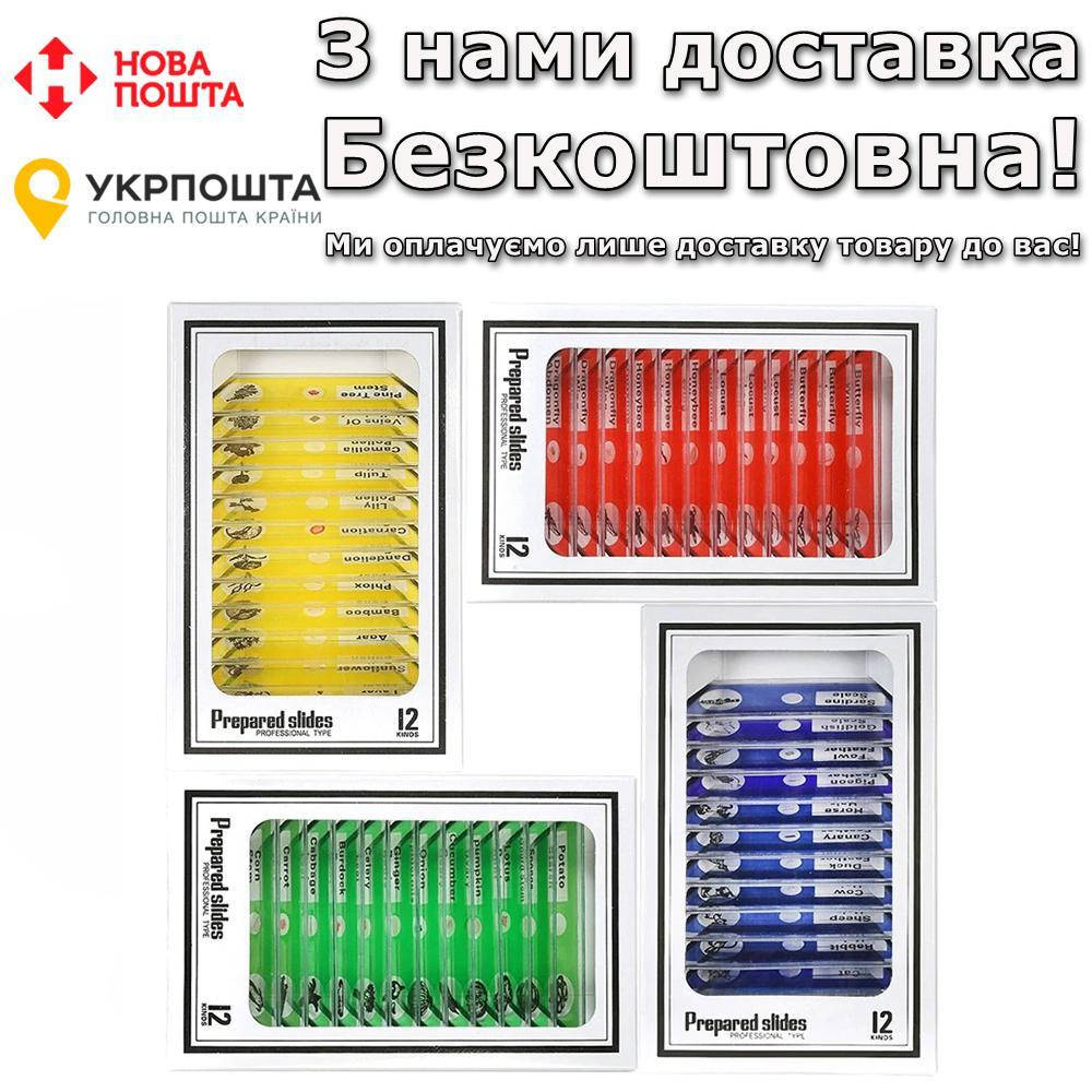 

Пластиковые образцы BauTech Для исследования под микроскопом 48 шт