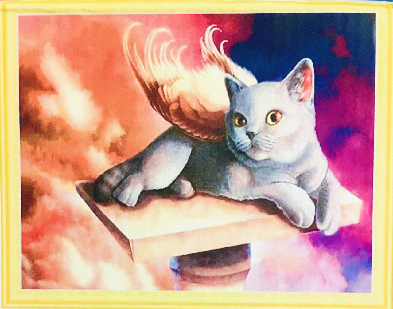 

50*40см Кошечкка ангелочек, алмазная живопись, полная выкладка
