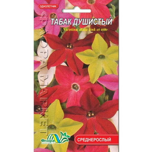

Табак душистый цветы однолетние, семена 0.1 г