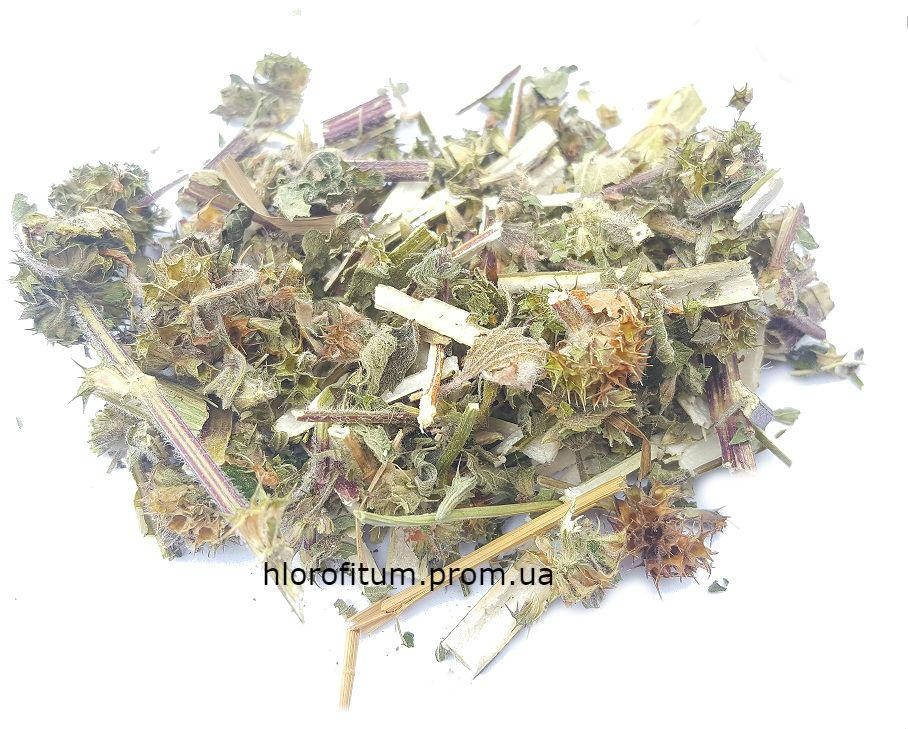 

Пустырник 50 грамм - трава пустырника пятилопастного