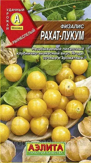 

Семена Физалис Рахат -Лукум 0,2 грамма Аэлита