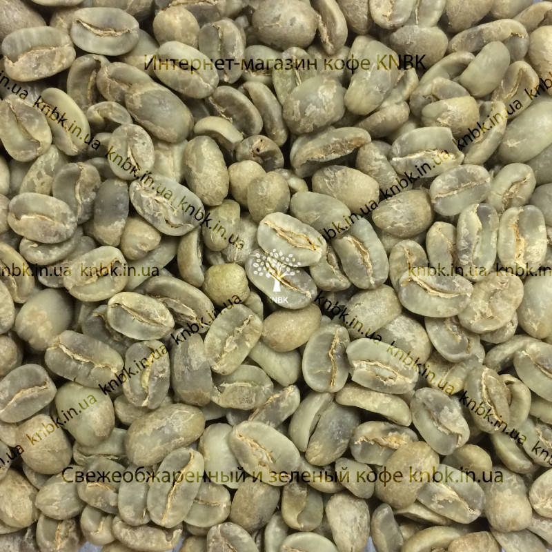 

Арабика Мексика Марагоджип (Arabica Mexico Maragogype) 200г. ЗЕЛЕНЫЙ кофе